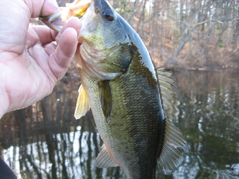 Chilili fishing photo 2