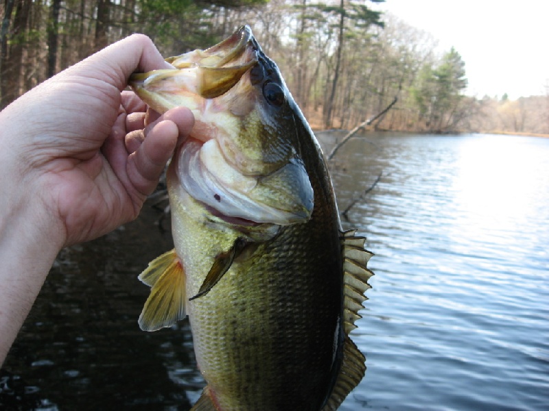 Chilili fishing photo 1