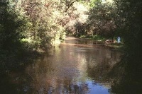 Animas River