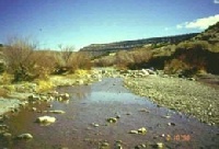 Abo Arroyo
