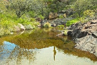 Alamo Wash